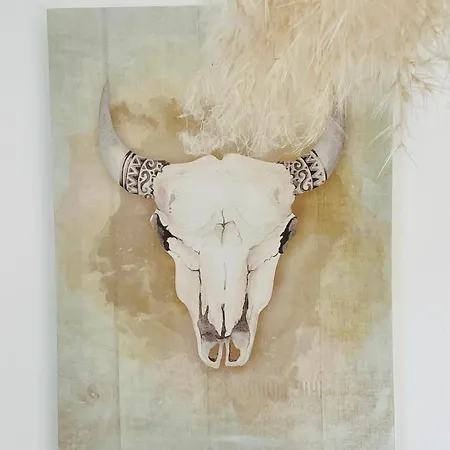 Maison 54 住宿加早餐酒店